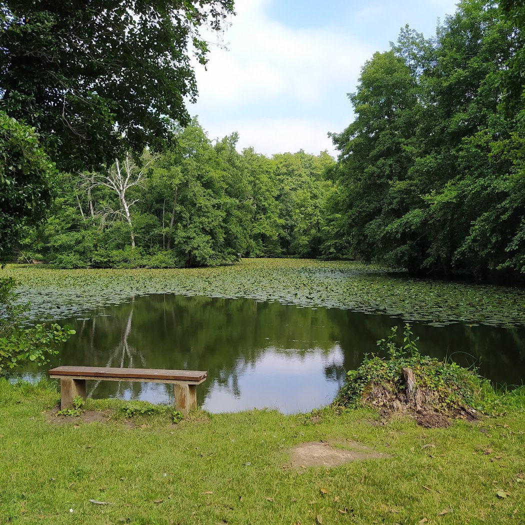 Les fontaines bouillantes 1